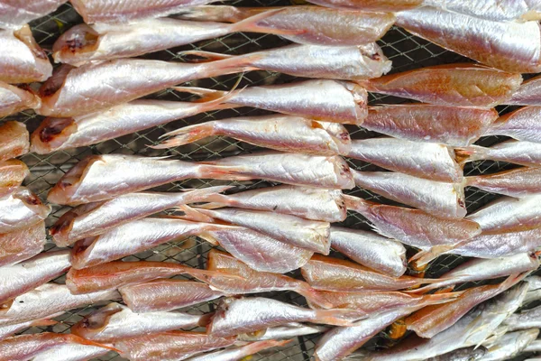 Torkad fisk på marknaden. — Stockfoto