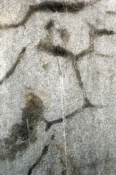 Cement floor - a cracked wall. — Stock Photo, Image