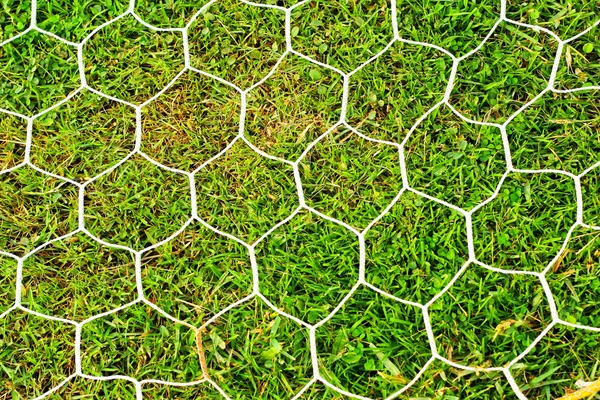 Гол футбол на зеленой траве . — стоковое фото