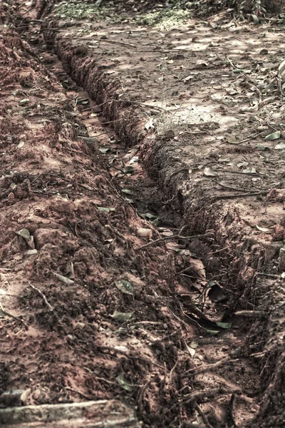 Wielsporen op de grond. — Stockfoto