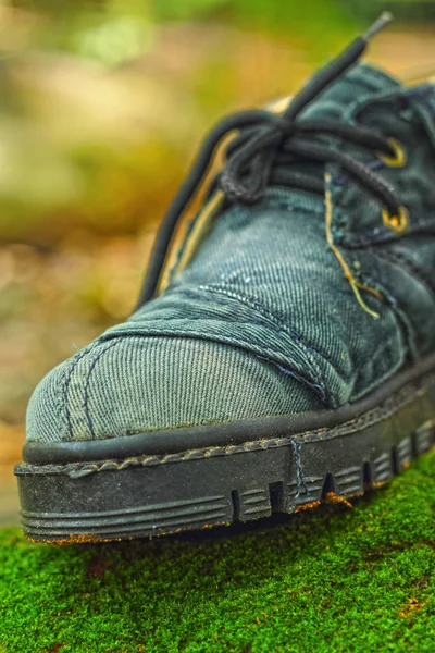 Old shoe - in the grass green moss. — Stock Photo, Image