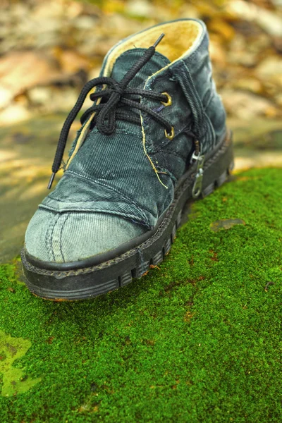 Old shoe - in the grass green moss. — Stock Photo, Image