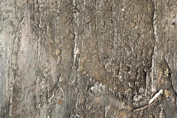 木材 - 古いビンテージ スタイルの背景 — ストック写真