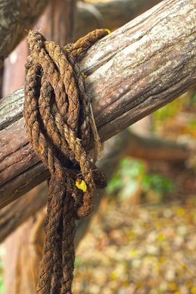 Velha corda amarrada a um pedaço de madeira velha . — Fotografia de Stock