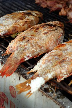 Tuz balık - ocakta.