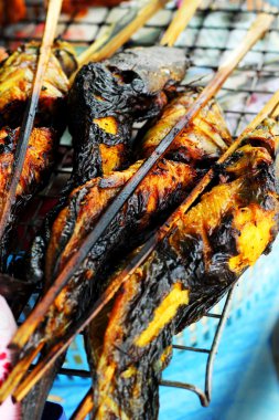 Yayın balığı fırında ızgara.