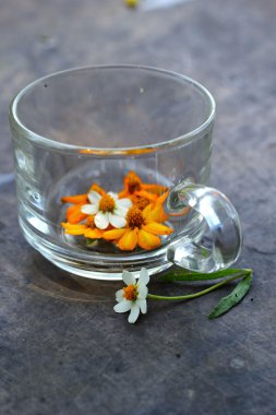 Beyaz Sarı çiçekli bir çim