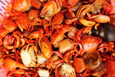 piyasada buharda pişmiş Yengeç.