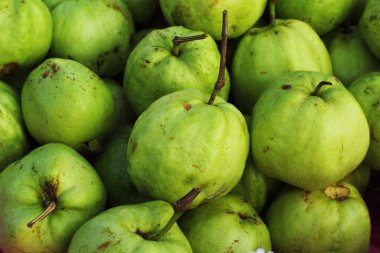 Pazar taze olarak guava meyve.