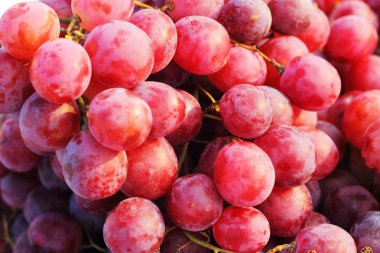 kırmızı üzüm meyve - Pazar.