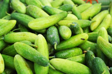 taze sebze - pazarda salatalık.