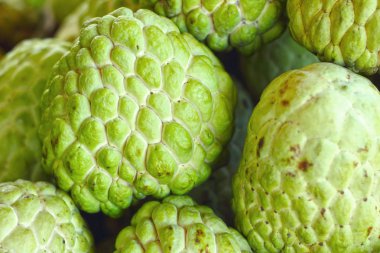 şeker elma pazarında