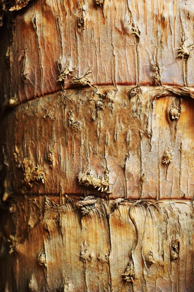 Staré dřevěné pozadí textury - vinobraní — Stock fotografie