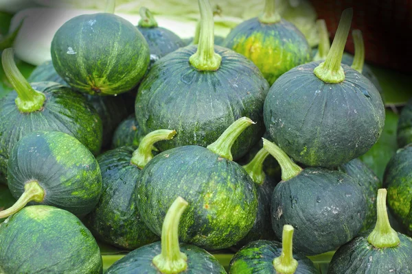 Fresh green pumpkin in the market — Stock Photo, Image