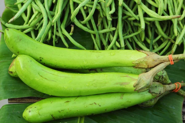 Verse groenten - aubergine, groene markt. — Stockfoto
