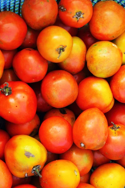 Tomates frescos no mercado. — Fotografia de Stock