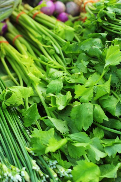 Selleri gröna grönsaker på marknaden. — Stockfoto