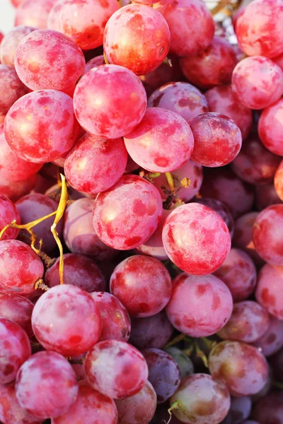 Red grape fruit - in the market. — Stock Photo, Image