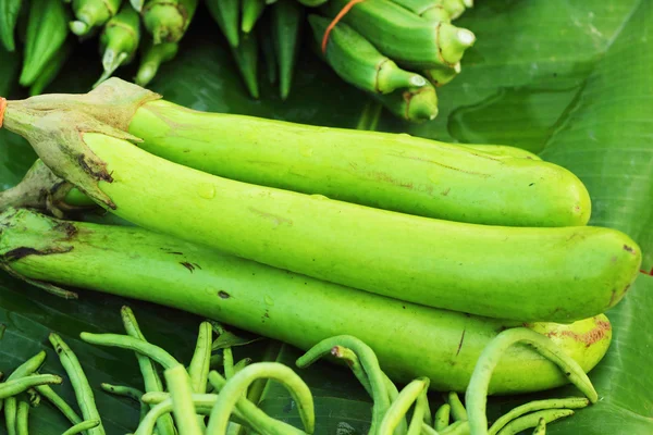 Fresh vegetables - eggplant, green market. — Stock Photo, Image