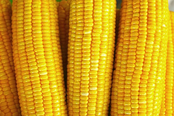Kukurydza jest umieścić są wiersza na rynku. — Zdjęcie stockowe