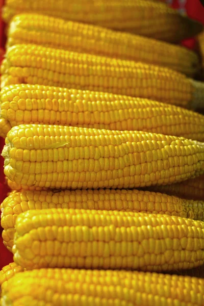 Sweet corn is put are row in the market. — Stock Photo, Image