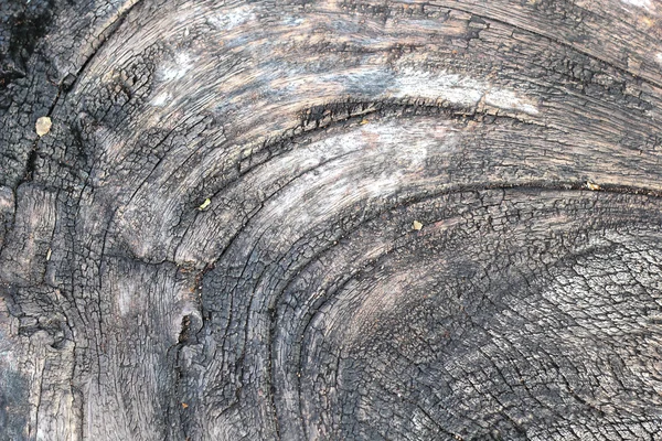 古い木の背景色 — ストック写真