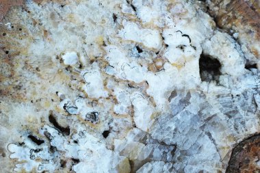 Mermer kahverengi ve beyaz - doku arka plan