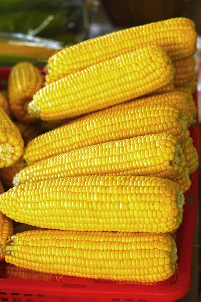 Sweet corn is put are row in the market. — Stock Photo, Image