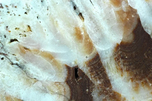 Мраморно-коричневый и белый фон — стоковое фото