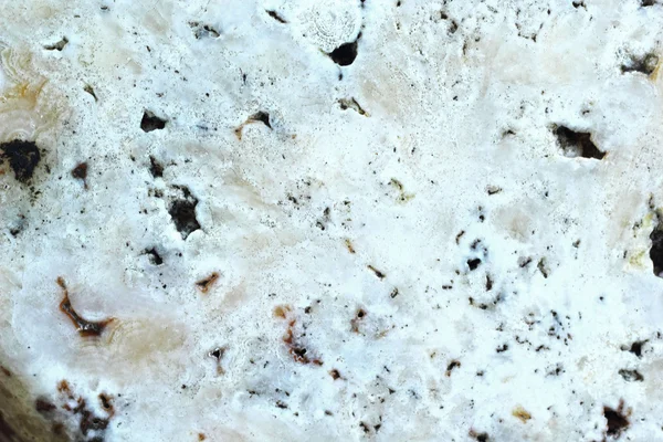 Marmor brun och vit textur bakgrund — Stockfoto