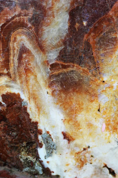 大理石の茶色と白 - テクスチャ背景 — ストック写真