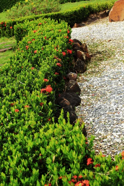 Japanese zen gardens in nature — Stock Photo, Image