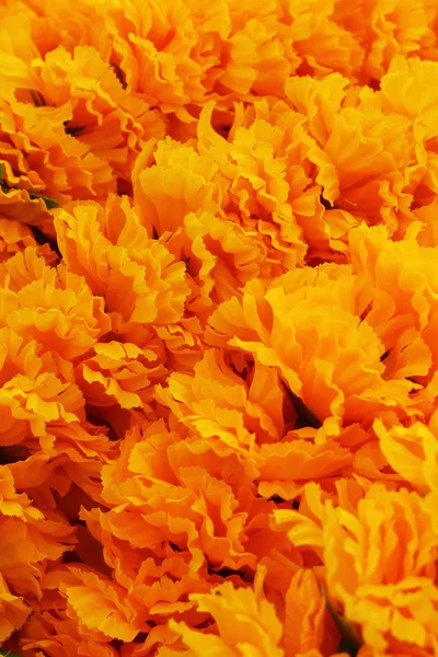 Marigold çiçek pazarında — Stok fotoğraf