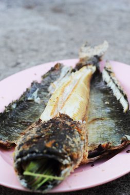 Tuzla kaplanmış yılan kafa balık ızgara