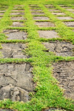 doğal taş ve yeşil çimen