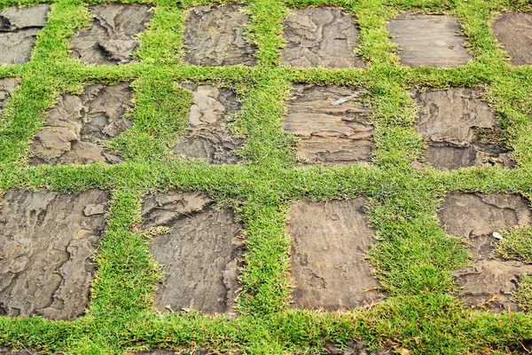 Zelené trávy a kamenů v přírodě — Stock fotografie