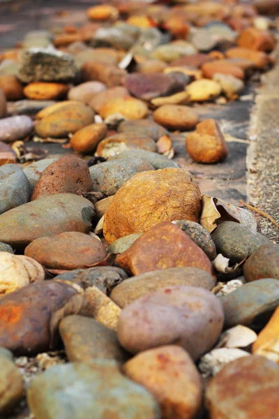 Pedras marrons colocadas em um chão de cimento . — Fotografia de Stock