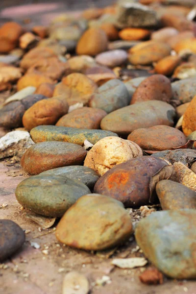 Pedras marrons colocadas em um chão de cimento . — Fotografia de Stock