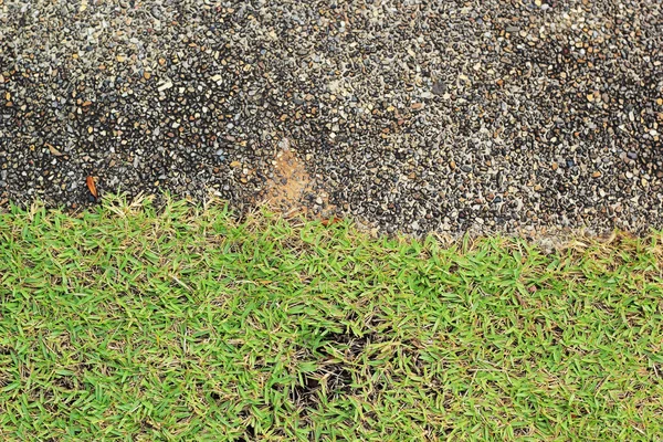 Grönt gräs och stenar i naturen — Stockfoto