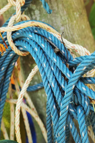 blue rope tied to a piece of old wood.