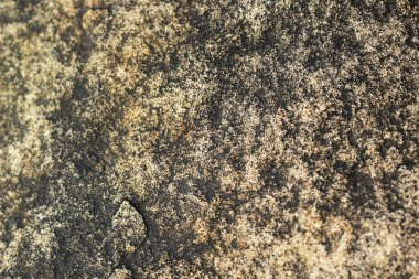 Çimento zemin arka plan dokusu