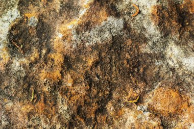 Çimento zemin arka plan dokusu