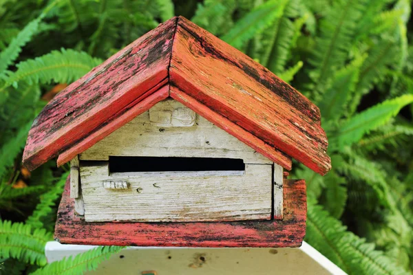 Mail box vintage stil med gröna ormbunkar. — Stockfoto