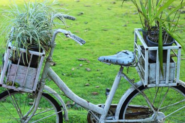 vintage tarzı eski bisiklet üzerinde Saksı bitkileri.