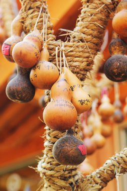 Calabash ağaç Kore