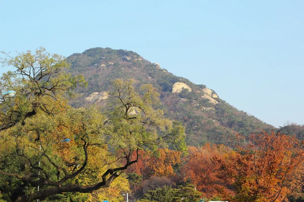 Bellissimo paesaggio in Corea del Sud — Foto Stock