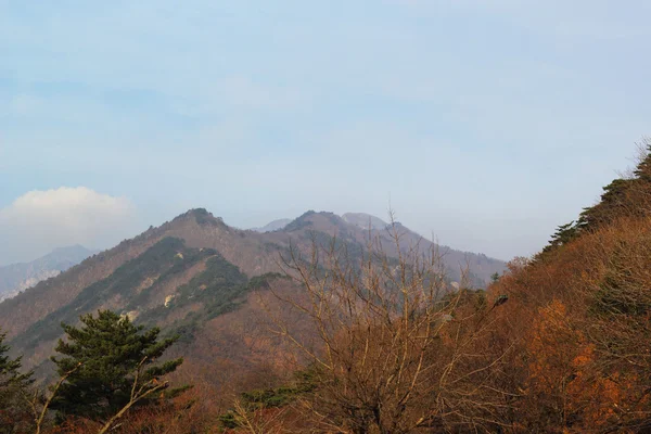 韓国雪岳山の美しい風景. — ストック写真