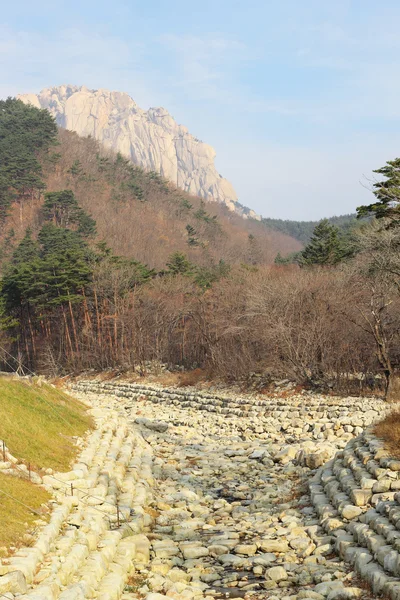 Seoraksan Kore, güzel manzara. — Stok fotoğraf