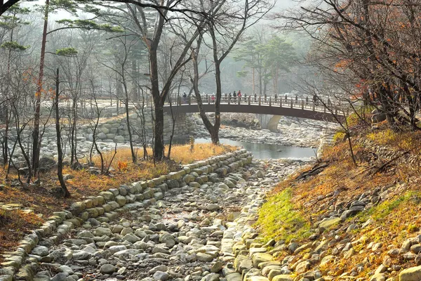 Wunderschöne Landschaft bei seoraksan Korea. — Stockfoto