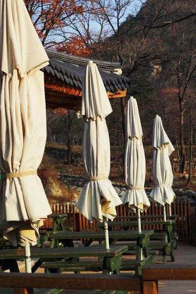 Stora paraply på en koreansk restauran. — Stockfoto